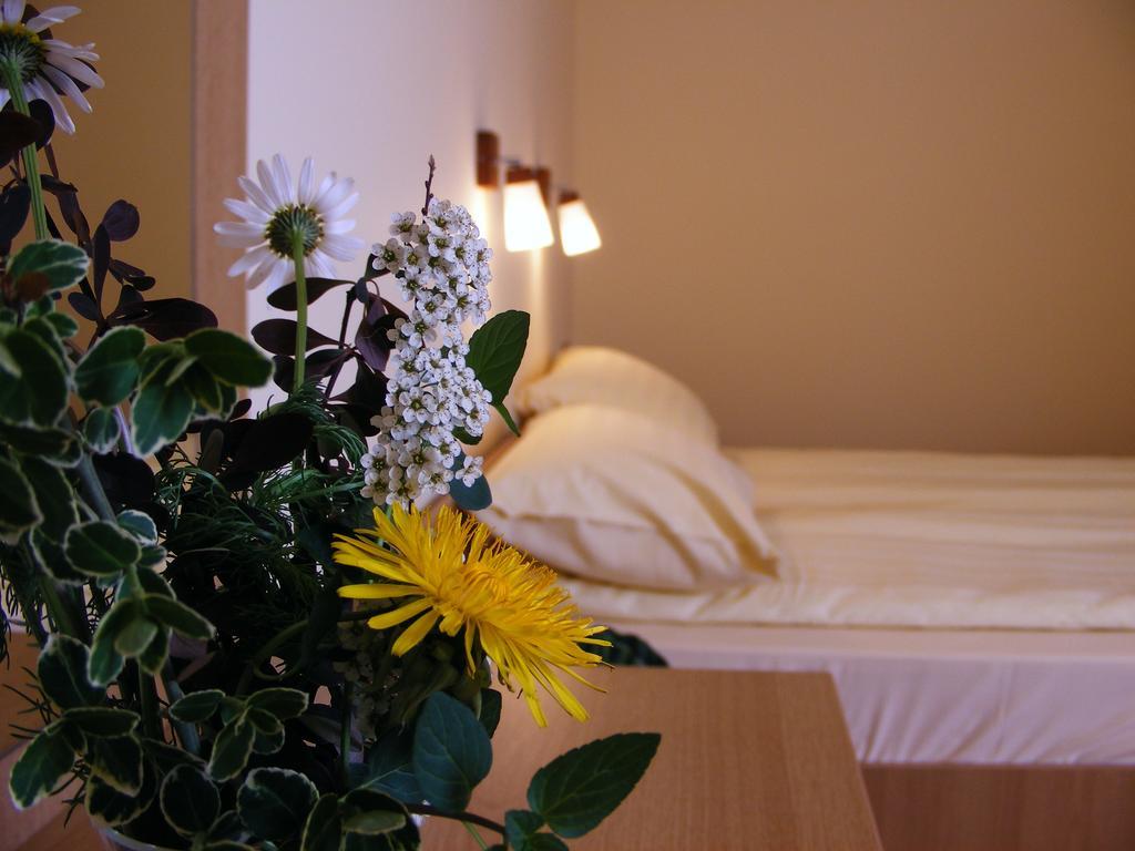 Motel Vector Acăţari Rom bilde